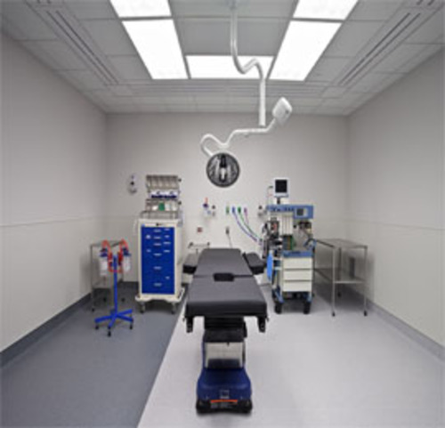 Stone Specialist Doctor in Shahibaug
