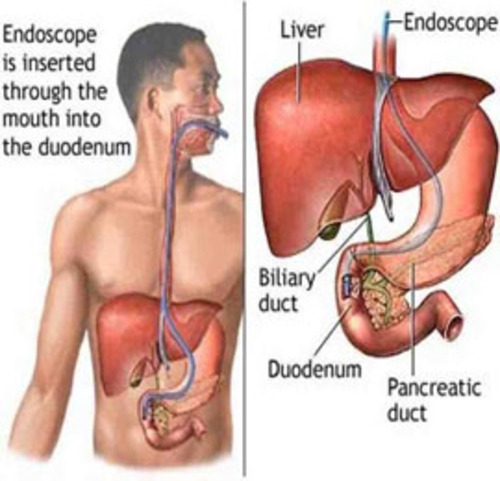 Best Urology Hospital in Shahibaug

