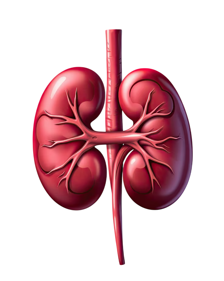 best uro oncologist in Shahibaug
